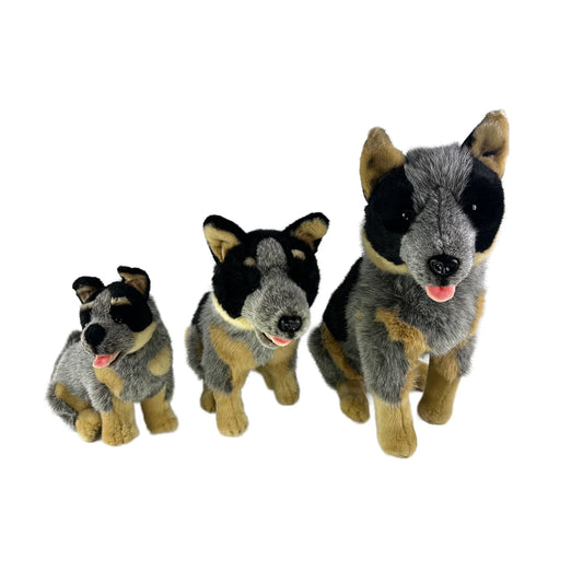 Rocky (Cattle Dog - 41cm sitting)