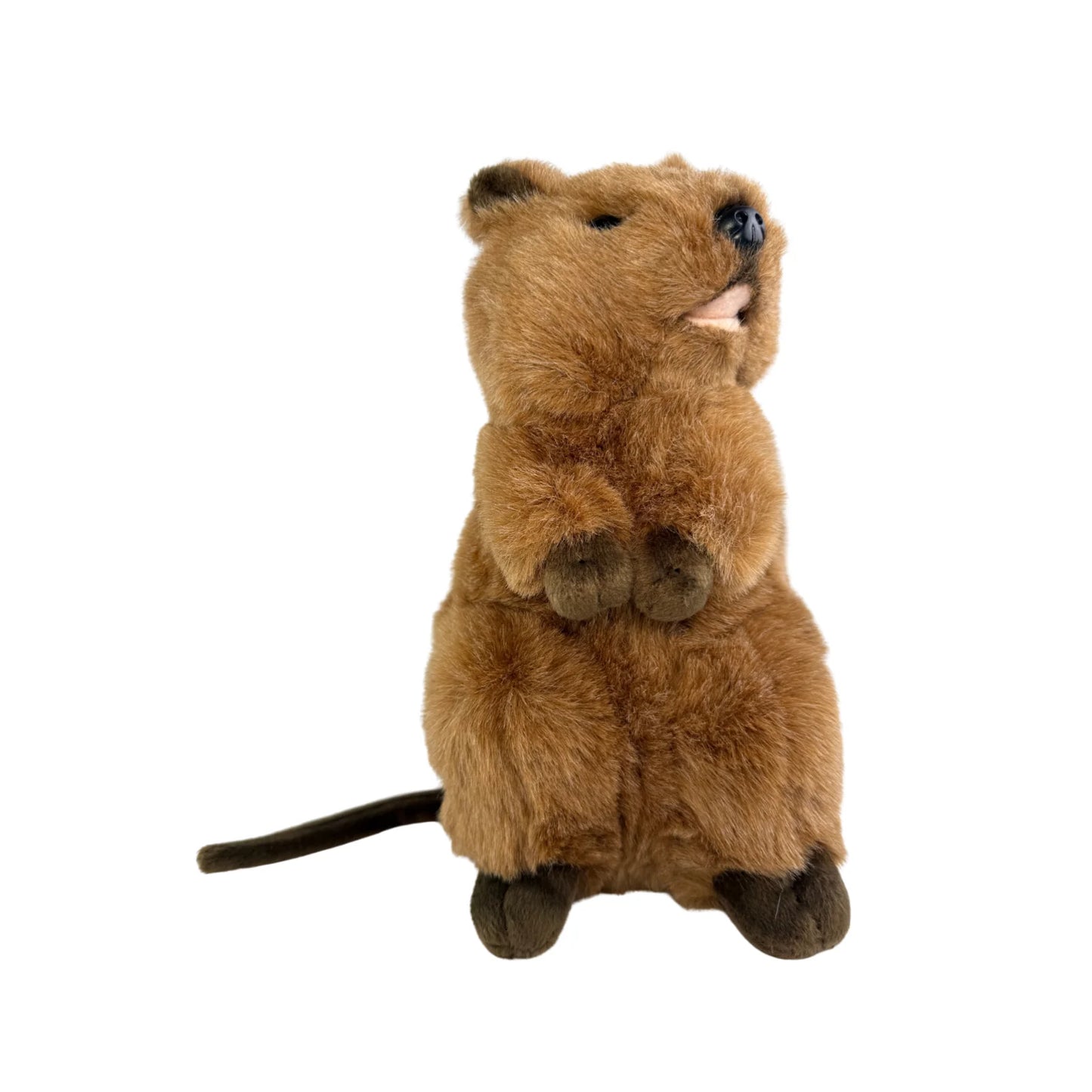 Roger - Quokka - 28cm standing