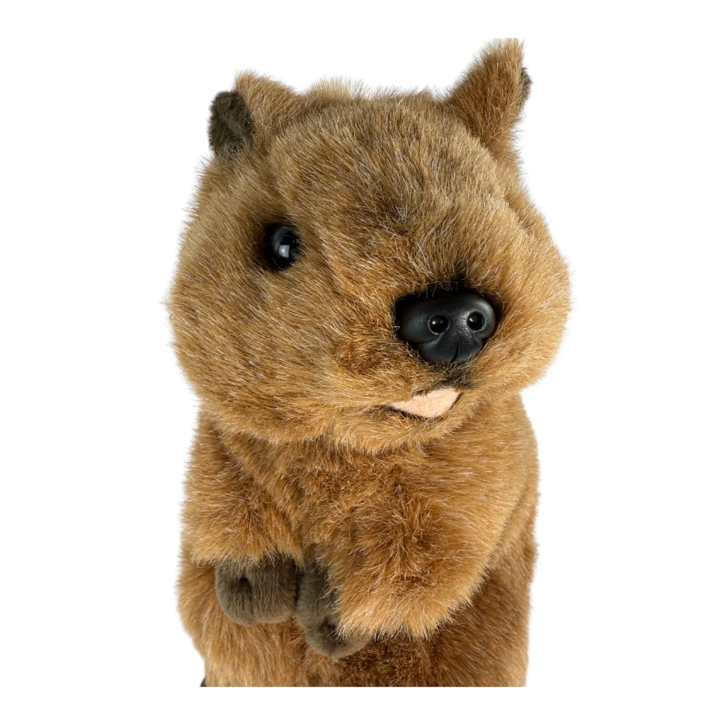 Roger - Quokka - 28cm standing