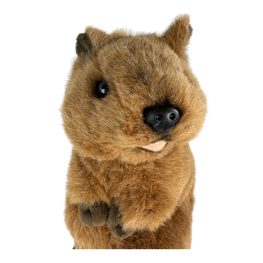 Roger - Quokka - 28cm standing