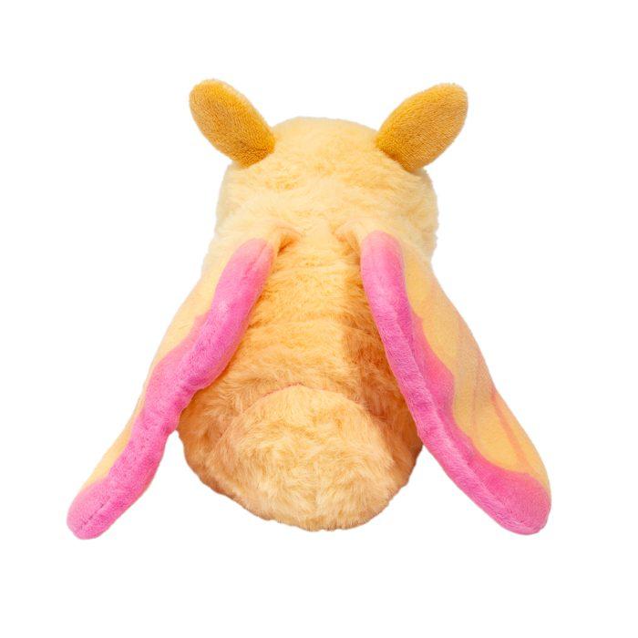 Rosy Maple Moth by Douglas (smaller ESSA)