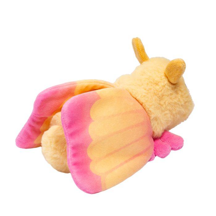Rosy Maple Moth by Douglas (smaller ESSA)