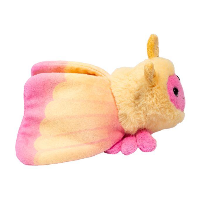 Rosy Maple Moth by Douglas (smaller ESSA)