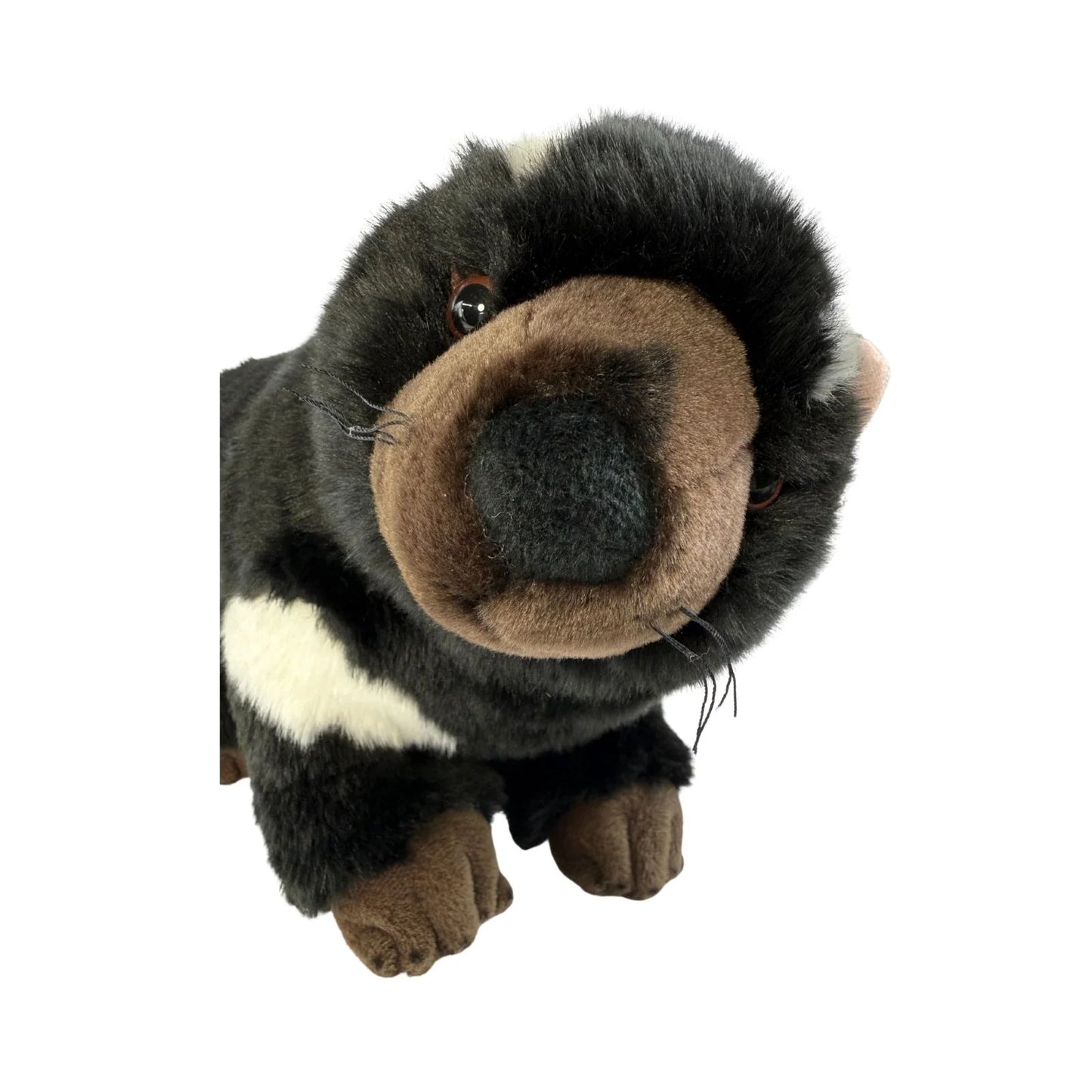 Rupert - Tasmanian Devil - 30cm