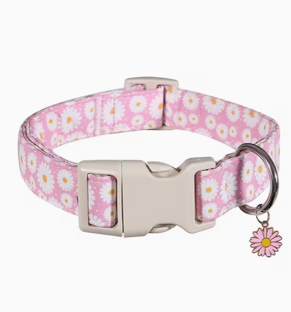Themed collars