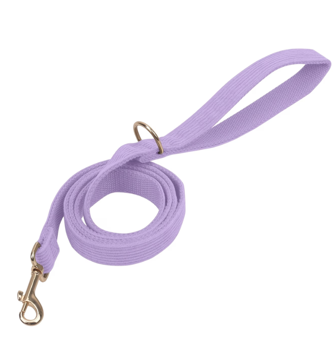 Corduroy Leash