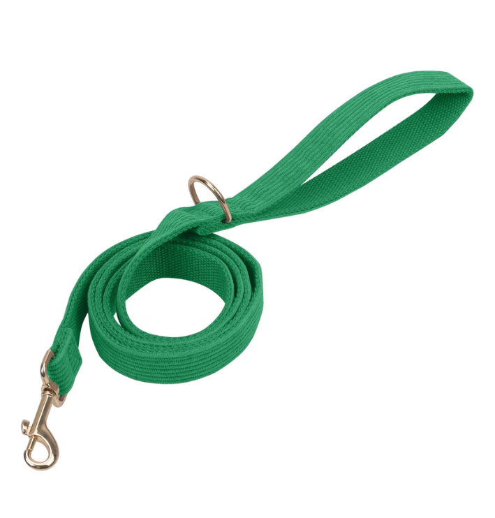 Corduroy Leash