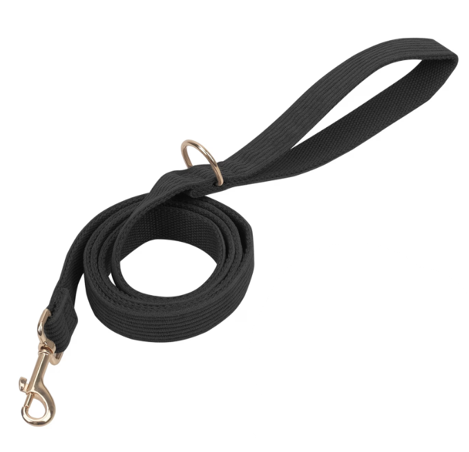 Corduroy Leash