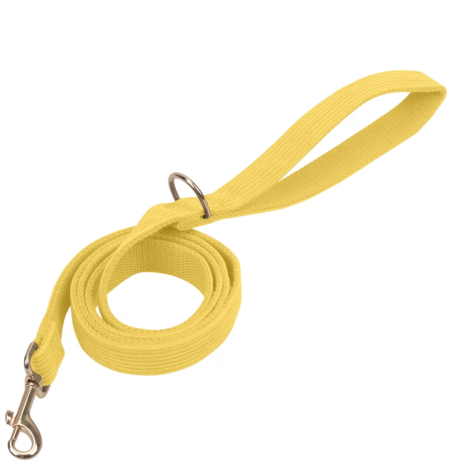 Corduroy Leash