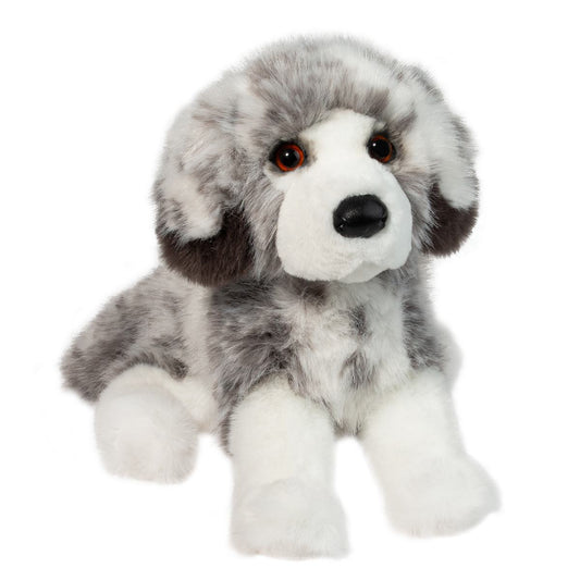 Skylar DLux Australian Shepherd by Douglas