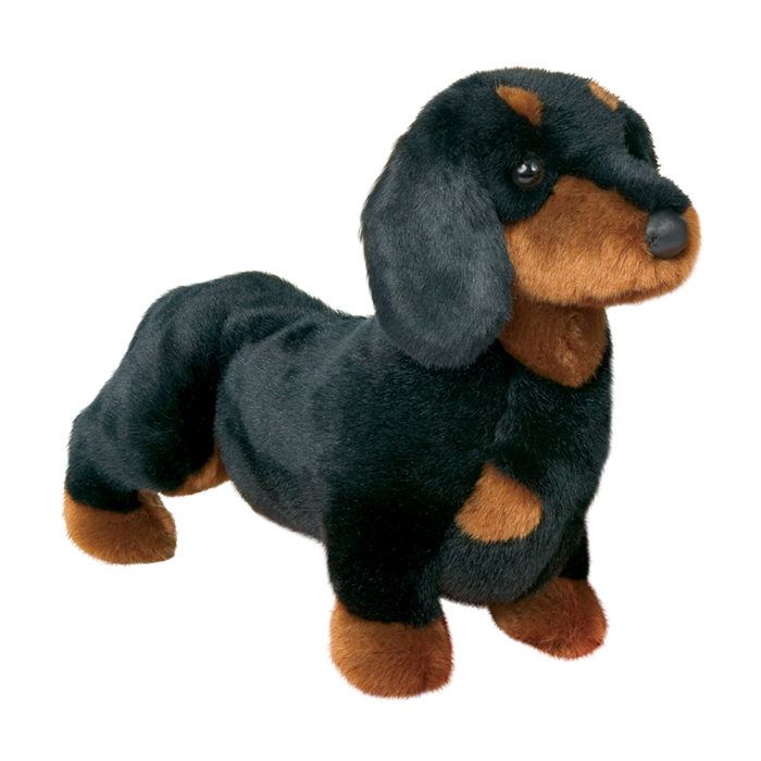 Spats Black & Tan Dachshund by Douglas