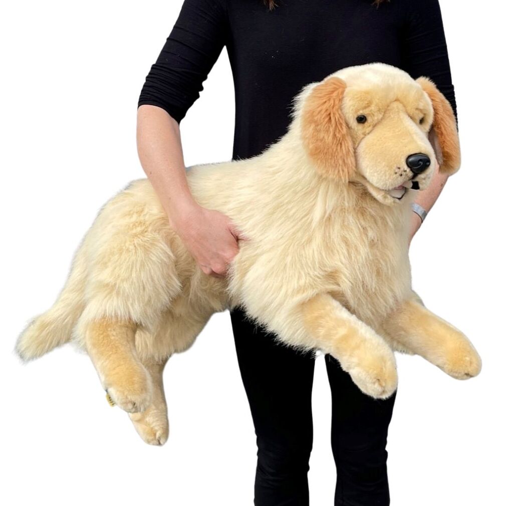 Spencer (Golden Retriever - 62cm lying)