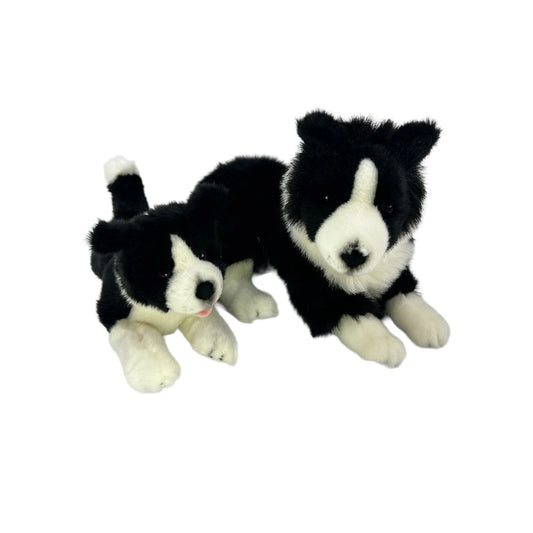 Starsky (Border Collie - 40cm lying) (16")