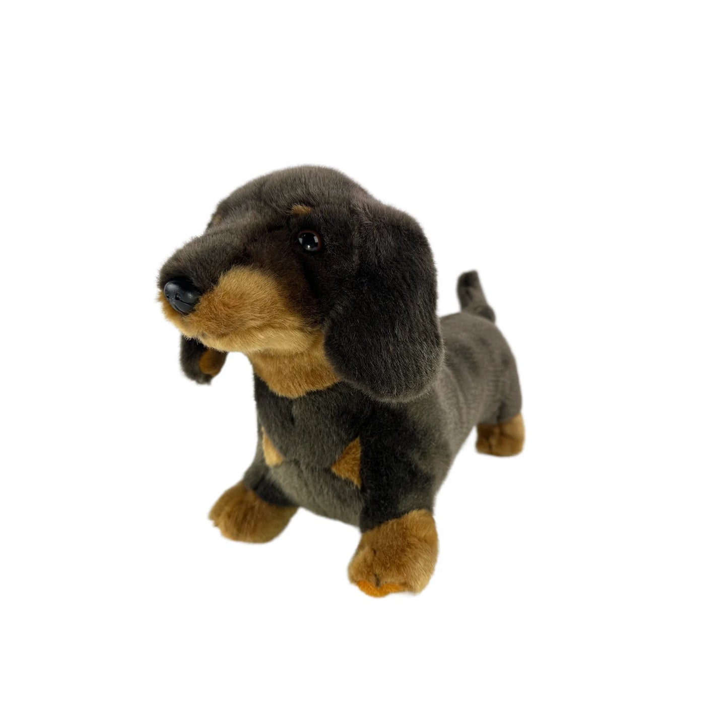 Stretch Dachshund - 37cm standing (14")