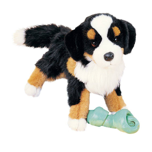 Trevor Bernese Mountain Dog by Douglas