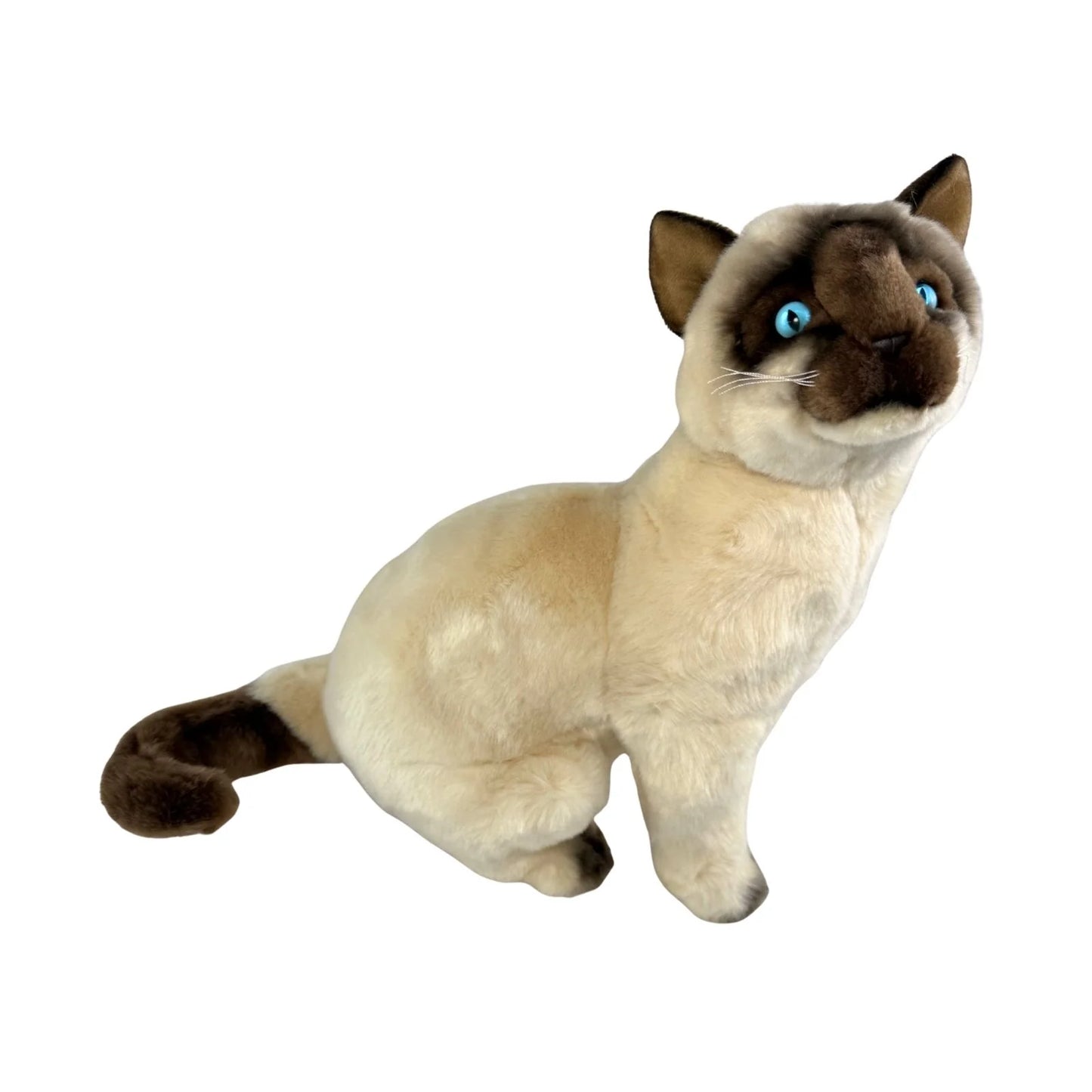 Tulip - Siamese Cat - 36cm sitting