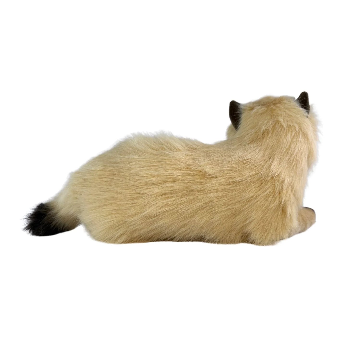 Violet - Himalayan Cat - 38cm lying