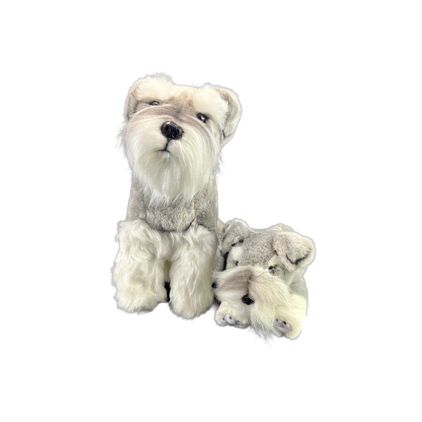 Watson (Schnauzer - 35cm sitting)