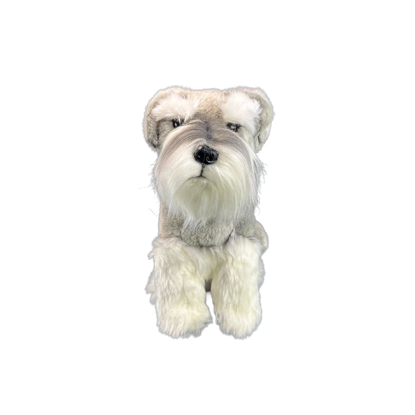 Watson (Schnauzer - 35cm sitting)