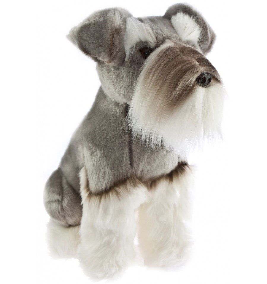 Watson (Schnauzer - 35cm sitting)