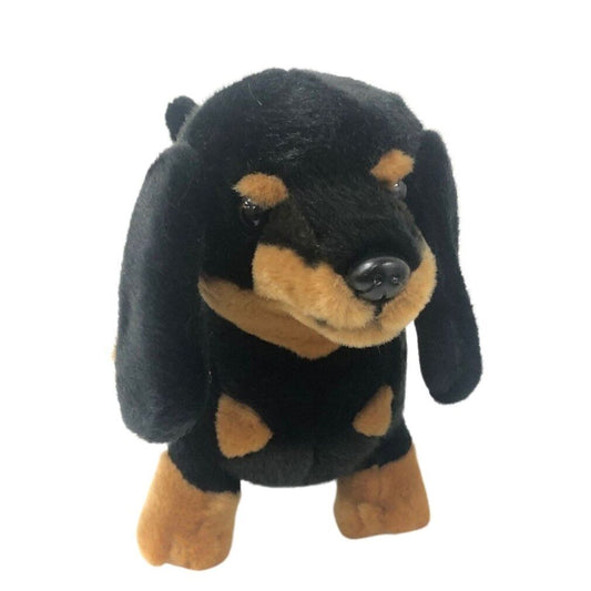 Buddy (Dachshund - 36cm standing, black and tan)