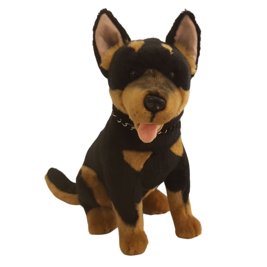 Jake (Kelpie - 38cm sitting, black and tan)