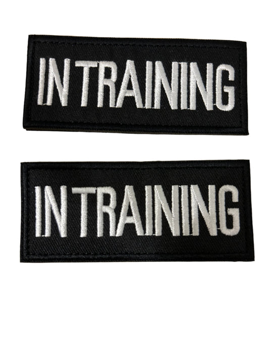 Two 'IN TRAINING' patches on a light background