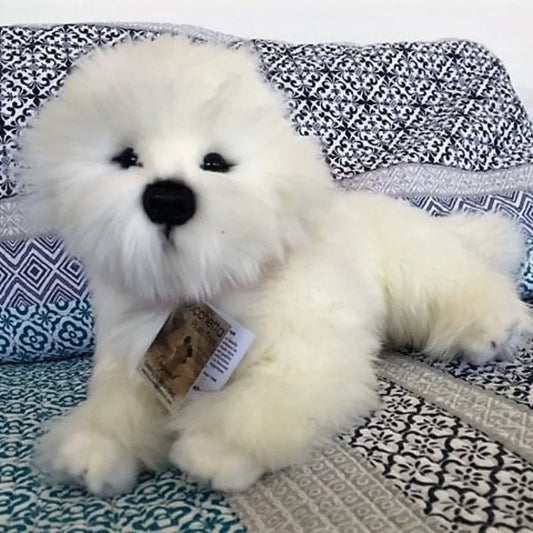 Annabelle (Bichon Frise - 38cm lying)